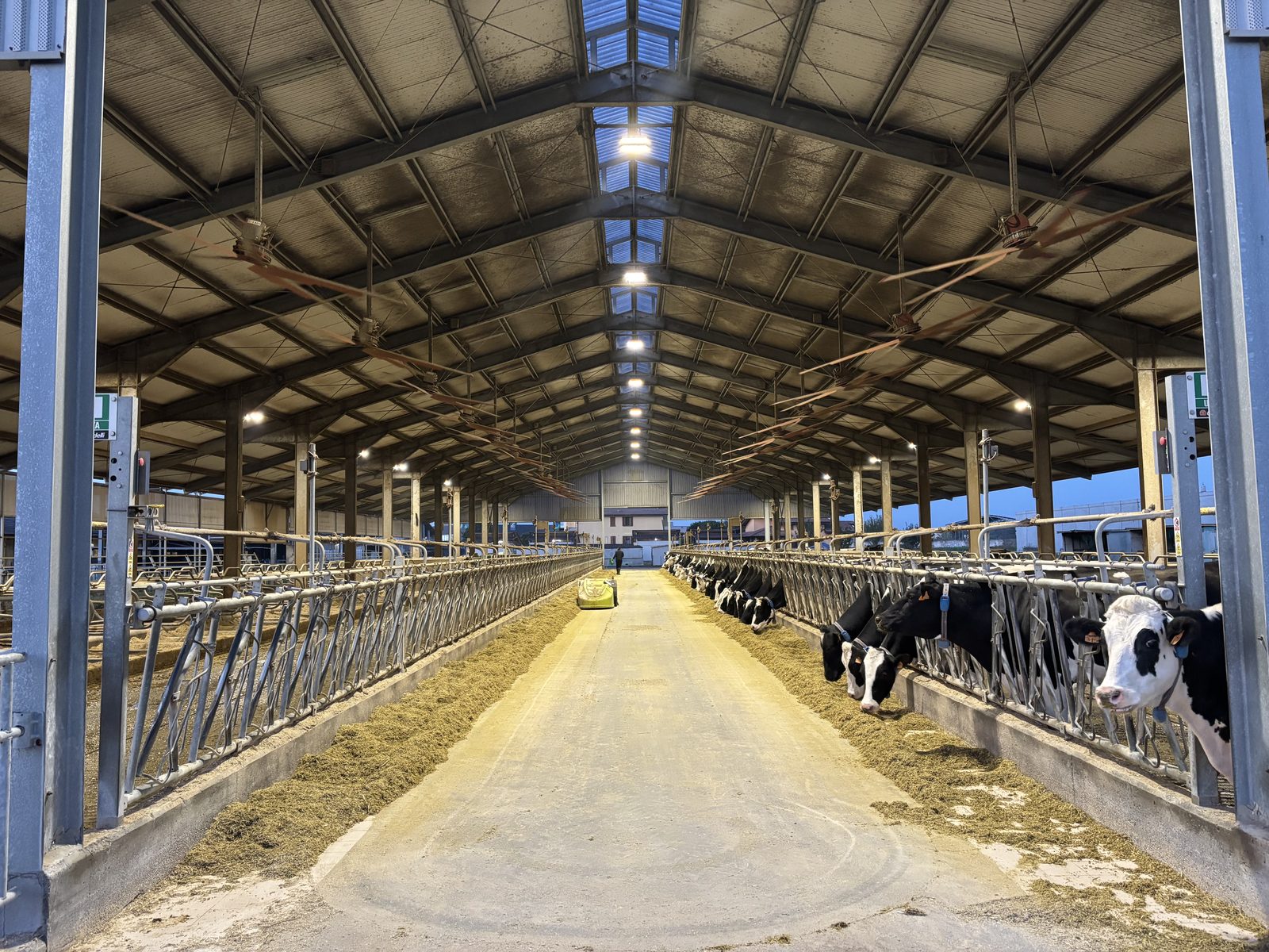 Corsia di alimentazione della stalla nuova vista in prospettiva