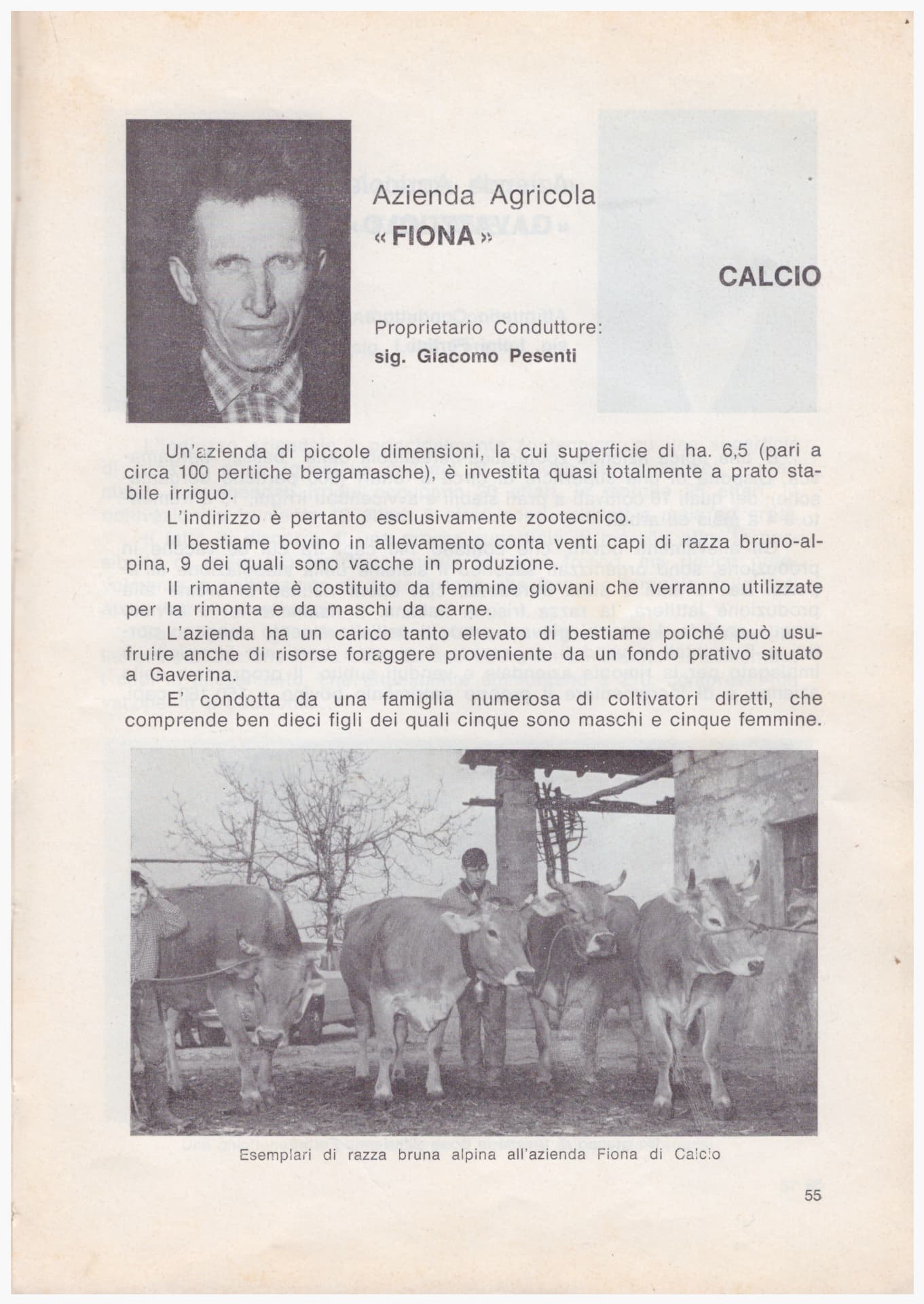 Pagina d'epoca dell'Azienda Agricola Fiona di Giacomo Pesenti a Calcio